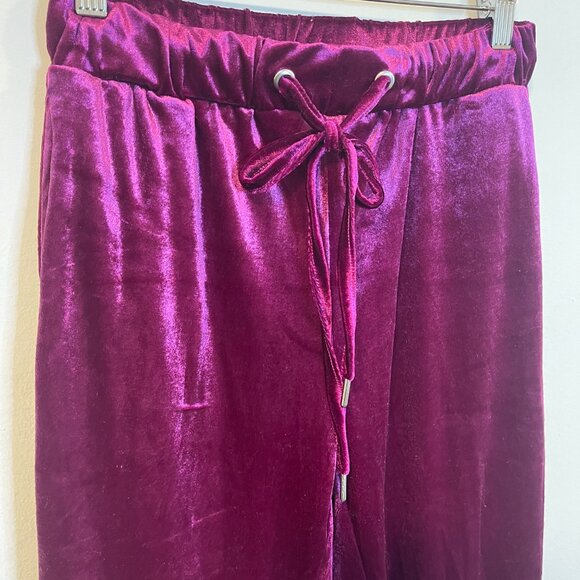Zara Trafaluc Velvet Pants - Picture 2 of 5